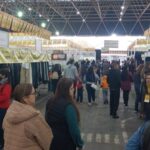 1e71871d302036ae2a20f8116bc1f903