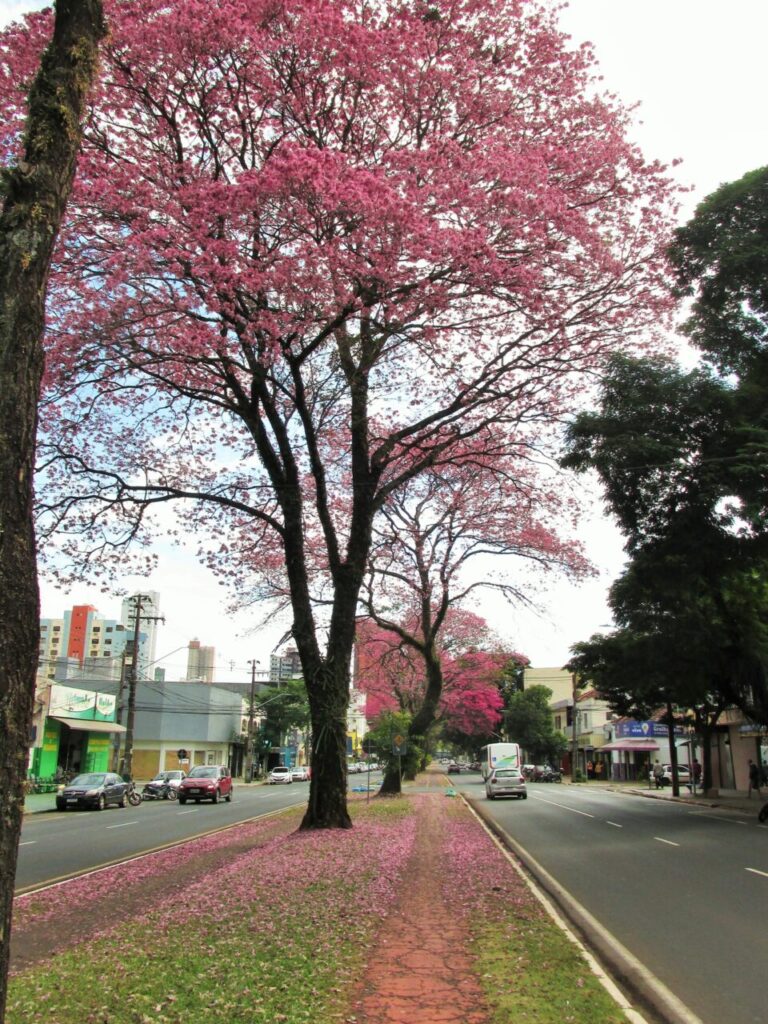 451366979_25905519742425412_5719043474353487207_n