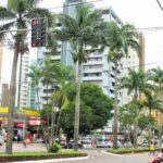 451858888_1031616045216478_4372896449246553831_n