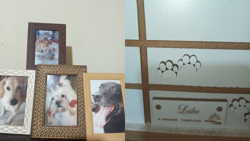 Design-sem-nome-14-1