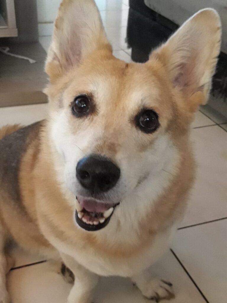 WhatsApp-Image-2024-07-05-at-19.09.01-1