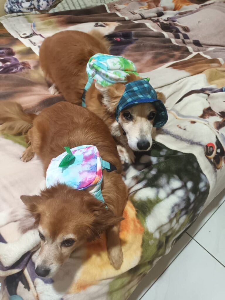 WhatsApp Image 2024-07-07 at 17.10.40