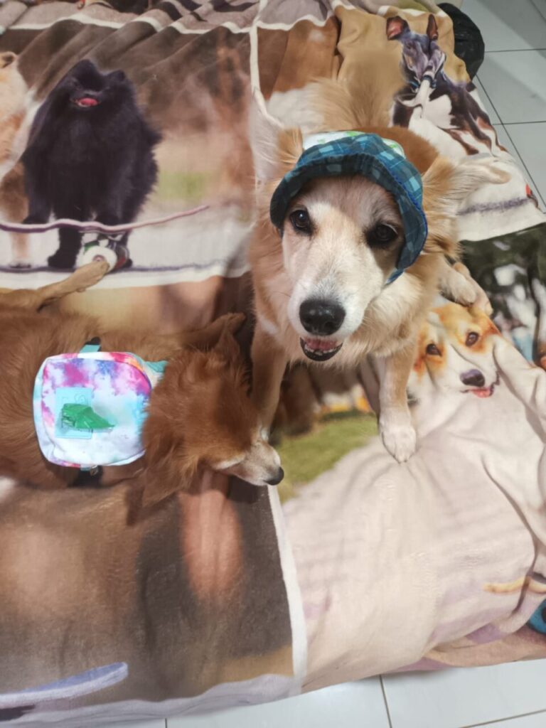 WhatsApp Image 2024-07-07 at 17.11.43