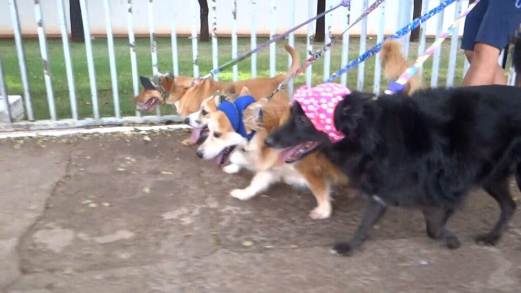 WhatsApp Image 2024-07-08 at 09.29.57