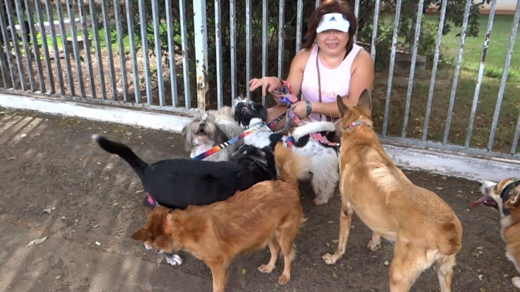 WhatsApp Image 2024-07-08 at 09.29.59