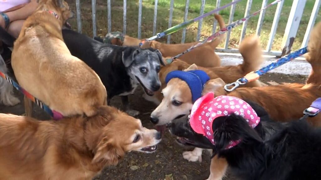 WhatsApp Image 2024-07-08 at 09.30.00 (1)