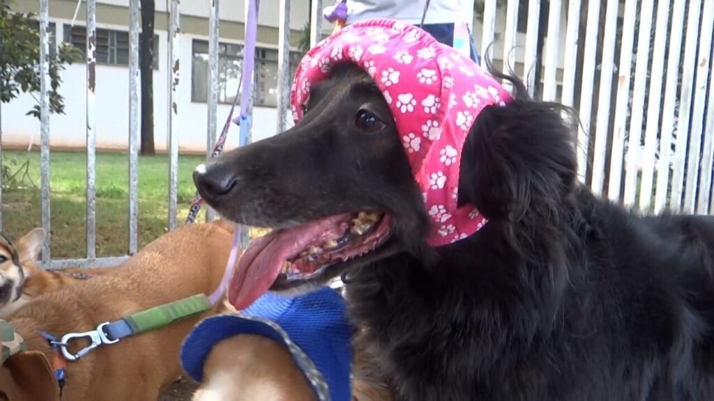 WhatsApp Image 2024-07-08 at 09.30.00