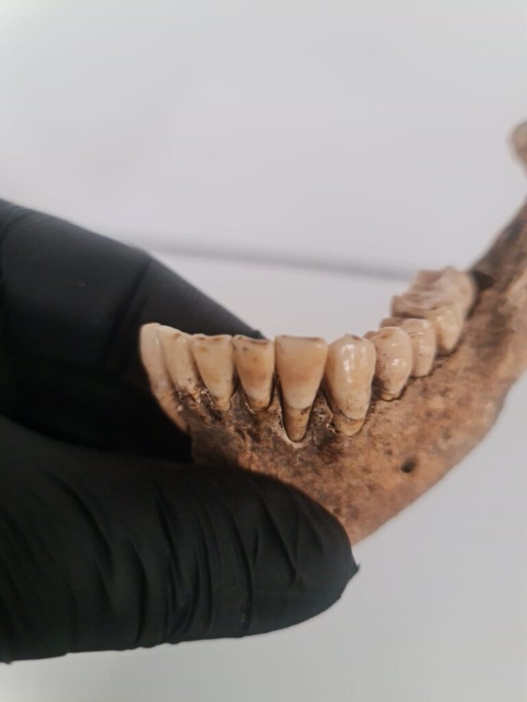 ee4cb056da943218d68f86c91589c4f4