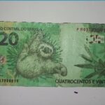 notafalsa