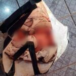 WhatsApp Image 2024-08-22 at 08.26.56