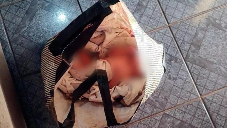 WhatsApp Image 2024-08-22 at 08.26.56