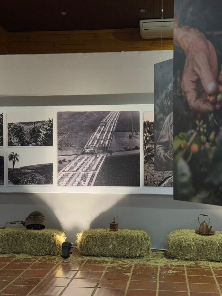 WhatsApp Image 2024-08-24 at 12.12.40 (1)