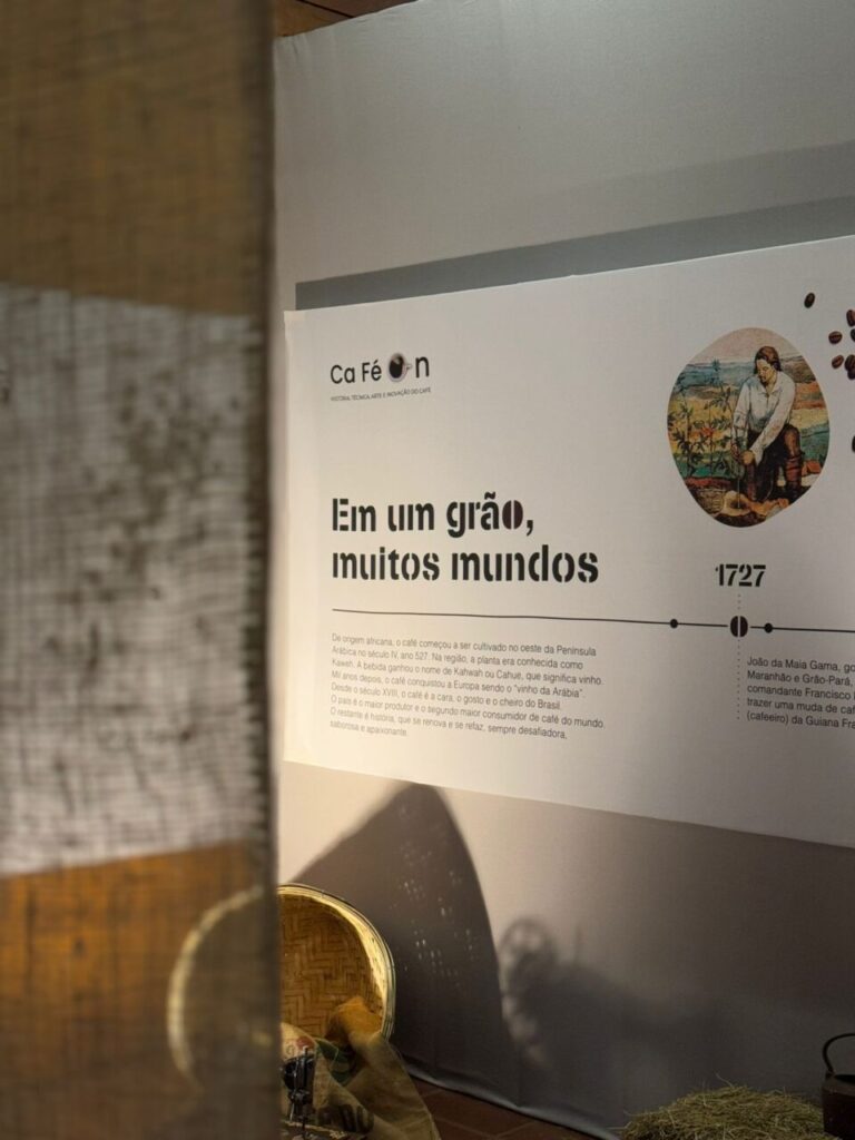 WhatsApp Image 2024-08-24 at 12.12.41