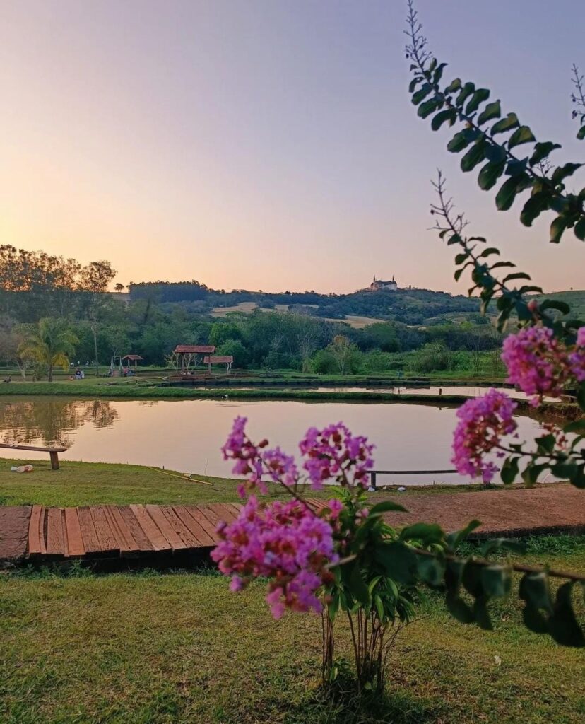 WhatsApp Image 2024-08-30 at 17.52.42