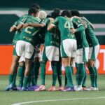 palmeiras_1724293949_3439949427160880082_288523451