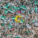 Imagem do WhatsApp de 2024-09-02 à(s) 11.14.55_d5be2e0f