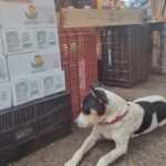 WhatsApp Image 2024-09-18 at 18.27.38 (1)