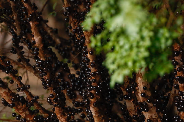 1a501db9d0549086ff073ba827753710