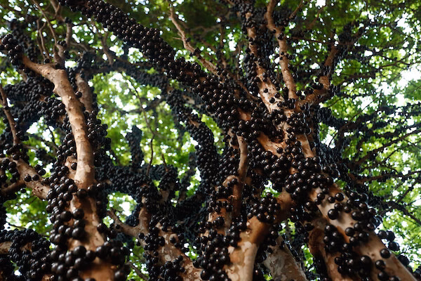 1d4d82a3bd6a99dc2422b7de26453871