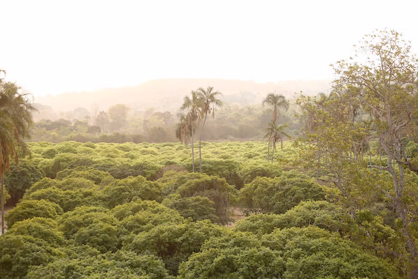 67c1b33c8e749adc4d4fe5d2f40714a6