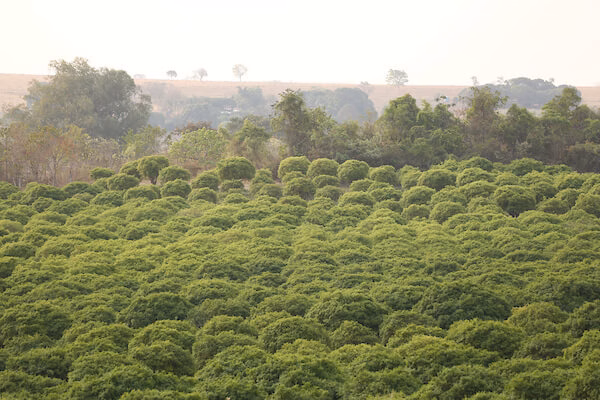 73eba897783bf04b2ba9389e8b470c83