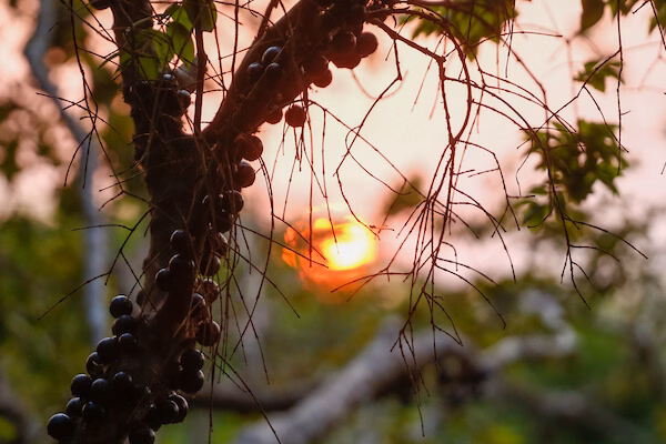 f0045626542392d0c42331b441c2f77d