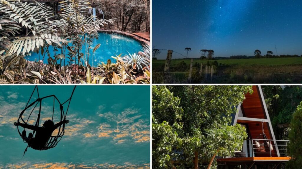 Design sem nome (11)