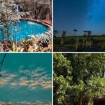 Design sem nome (11)