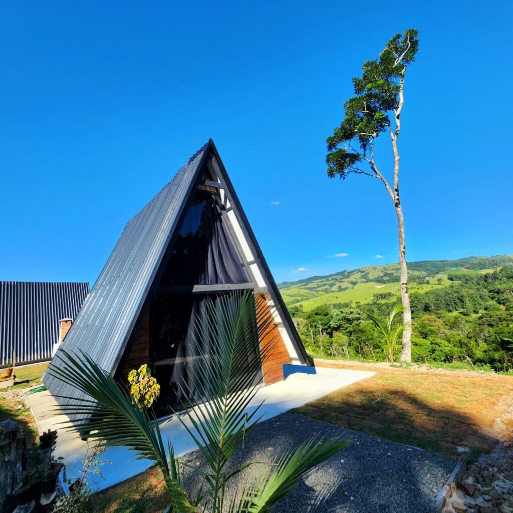 chaliesapopema_1737062326_3547058340115233178_59471332008