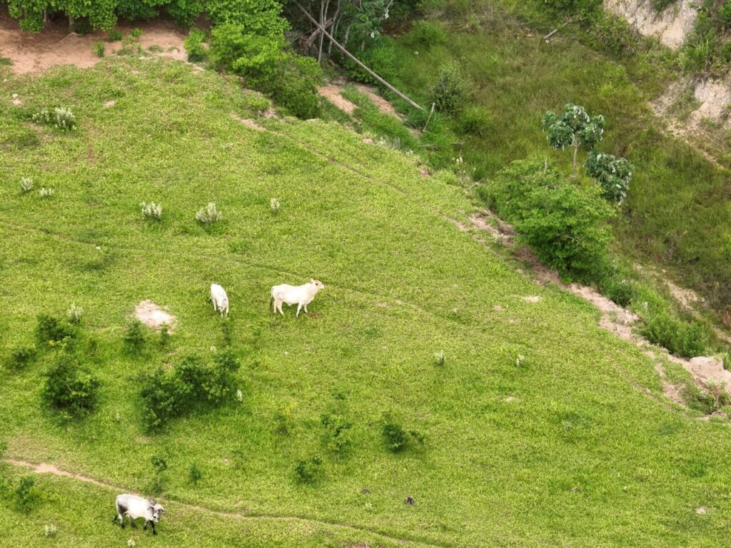 proprietário rural foi multado em R$ 300 mil.