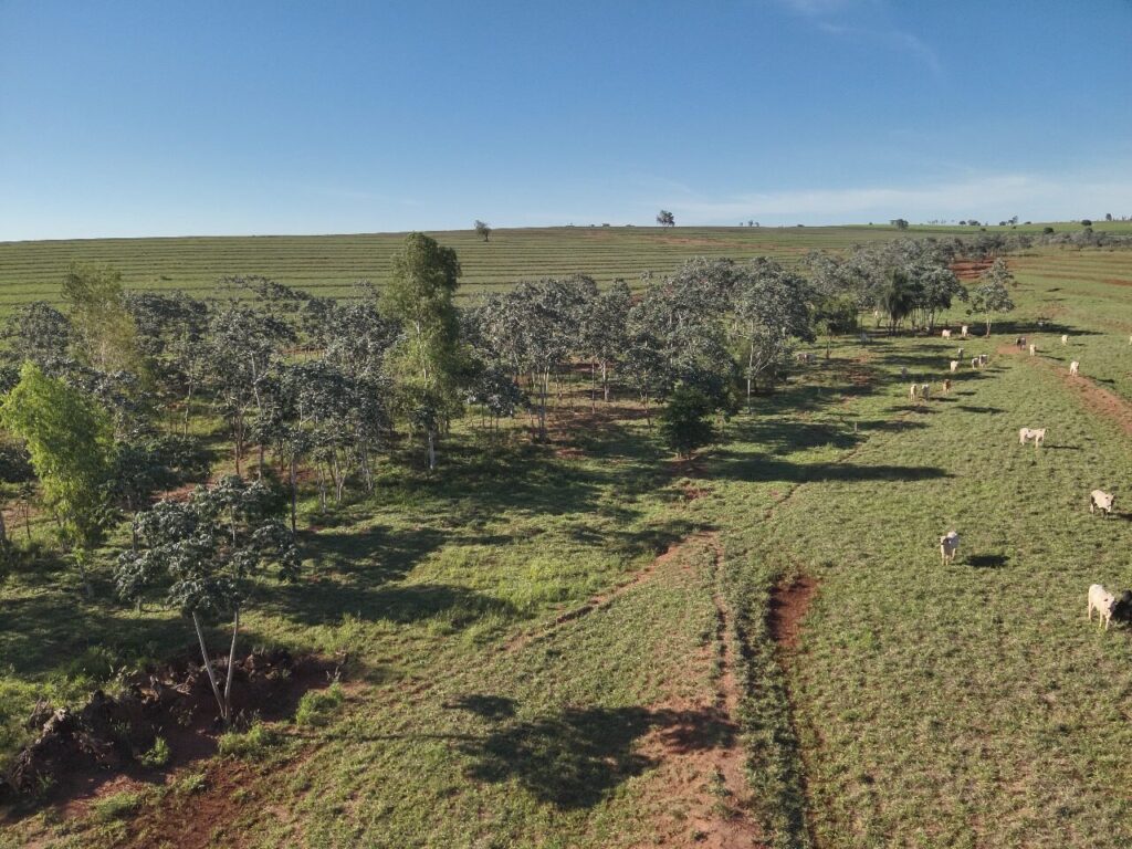 proprietário rural foi multado em R$ 25 mil