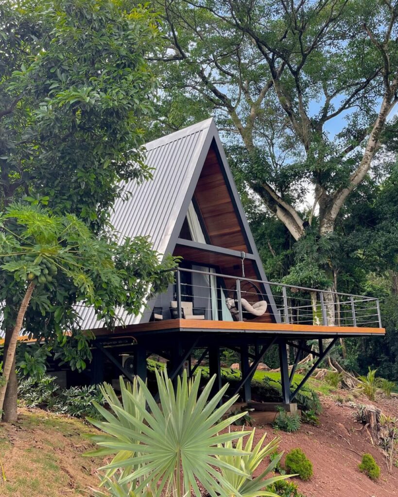 murielboer_1737670625_3552161121270484590_271039682