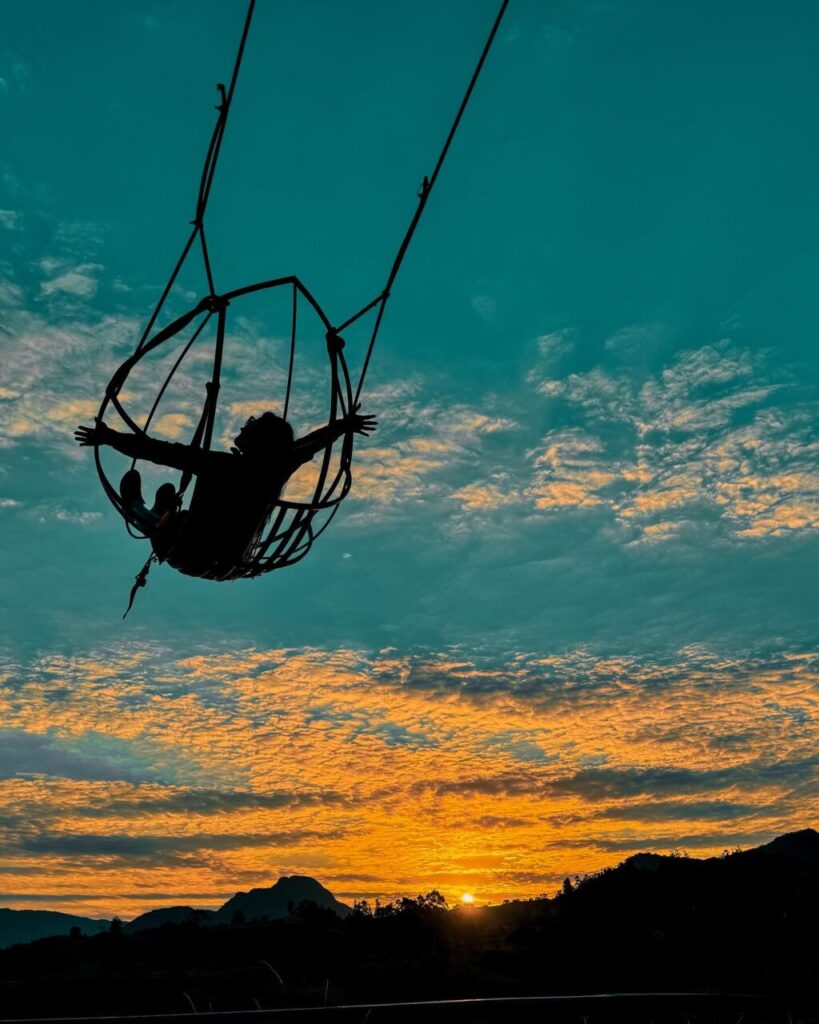 palomajusten_1720301055_3406454611086131208_42873685 (1)