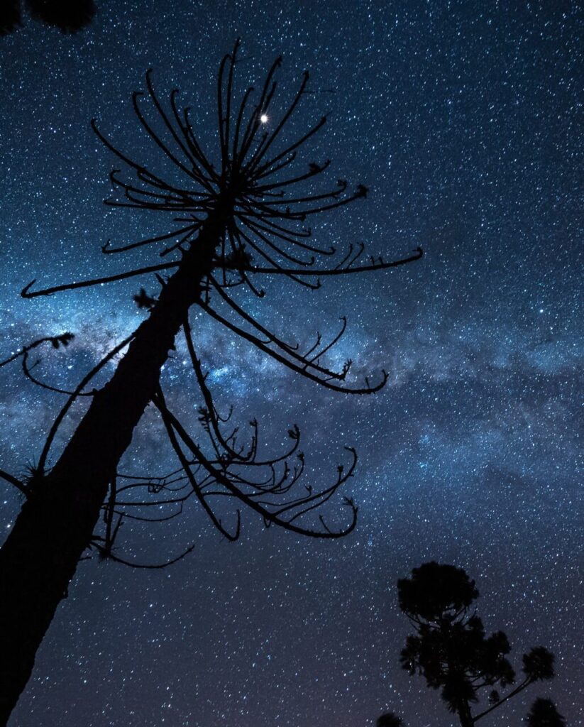 reservadadora_1733922394_3520718681983764731_4802536665