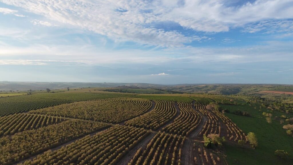 Fazenda Umuarama – Romaria MG