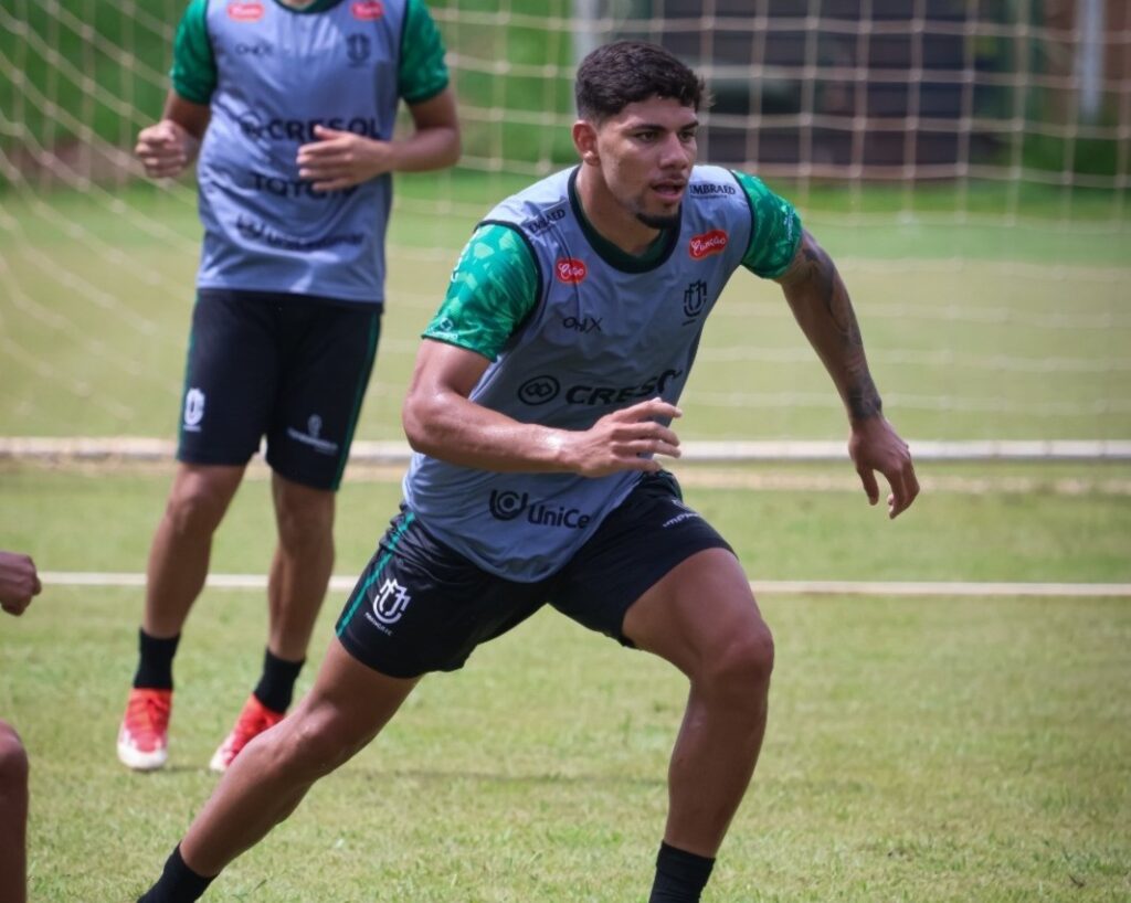 Imagem do WhatsApp de 2025-02-18 à(s) 15.55.02_56511e8f