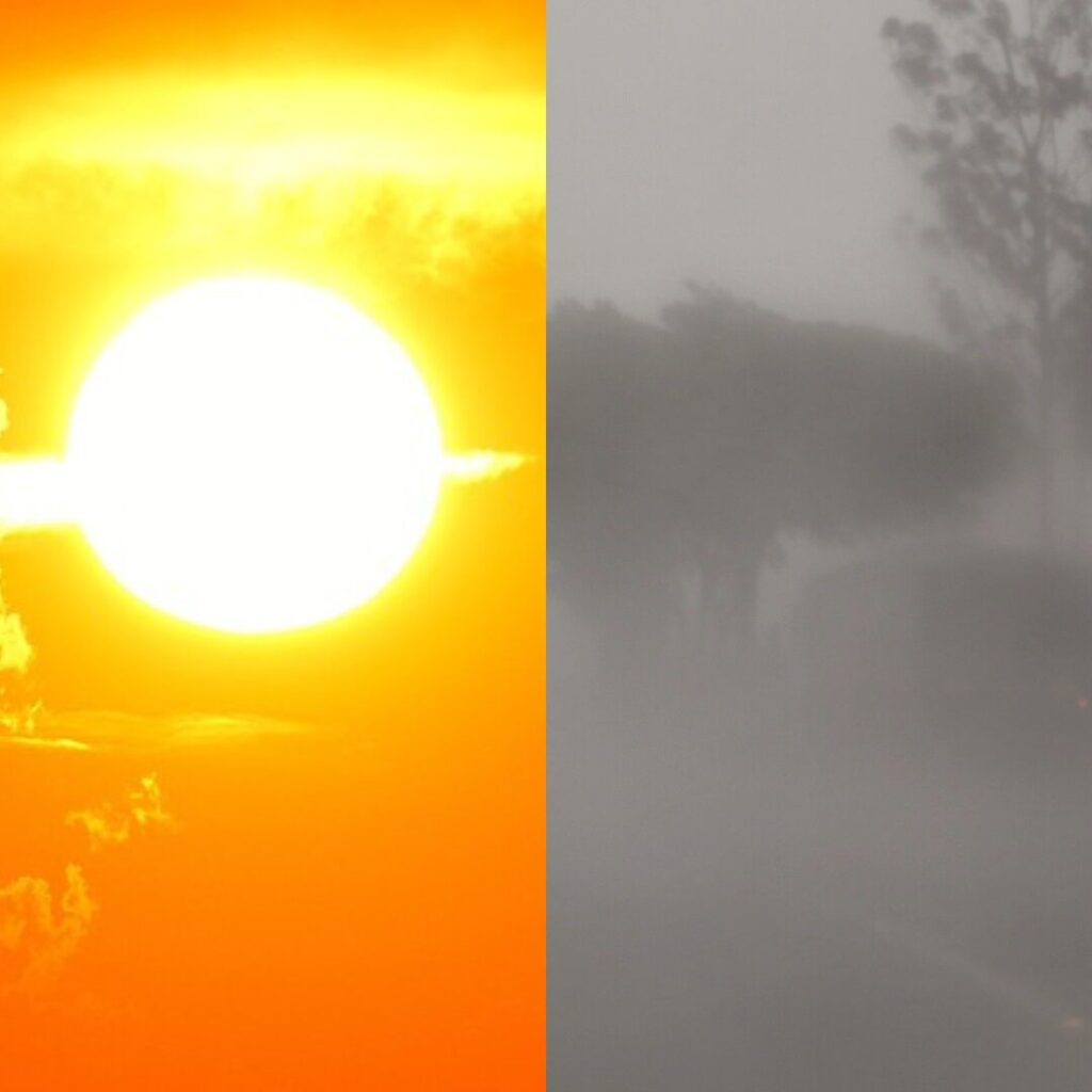Post para Instagram de colagem de fotos de família com grade limpa em azul-claro e branco (4)
