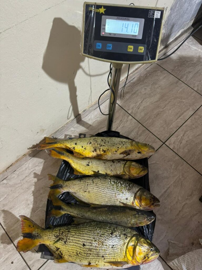 WhatsApp Image 2025-02-05 at 08.17.35 (2)