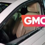 WhatsApp Image 2025-02-11 at 12.00.38