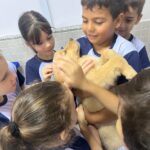 A filhote de golden retriever tem pouco mais de dois meses e foi adotada para ajudar no suporte emocional dos alunos.