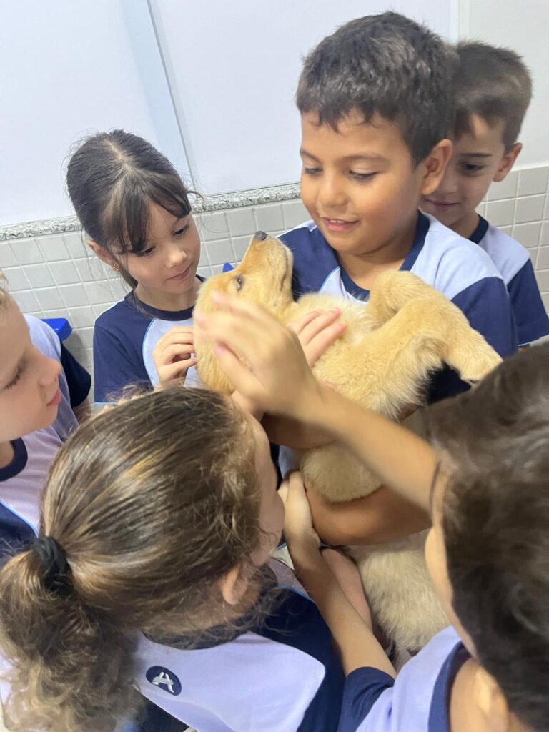 WhatsApp Image 2025-02-19 at 21.07.20 (1)