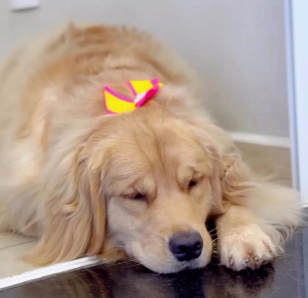 WhatsApp Image 2025-02-21 at 16.23.11