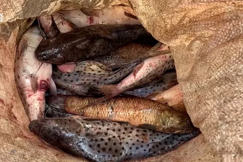 174154836767cdeb4f74dde