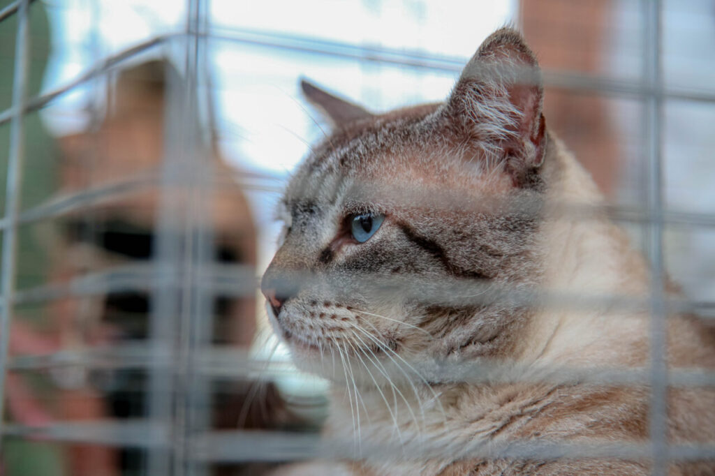 8d767668-5cbf-476d-be47-e5b423bd74c7