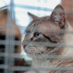 8d767668-5cbf-476d-be47-e5b423bd74c7