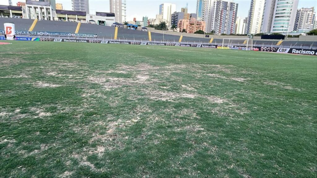 Imagem do WhatsApp de 2025-03-06 à(s) 17.47.52_c88c4e91