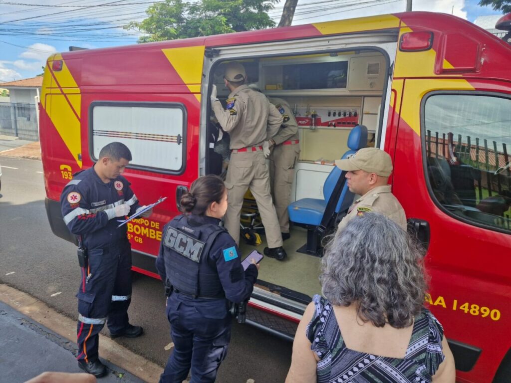 Imagem do WhatsApp de 2025-03-31 à(s) 14.49.05_4f5e7969