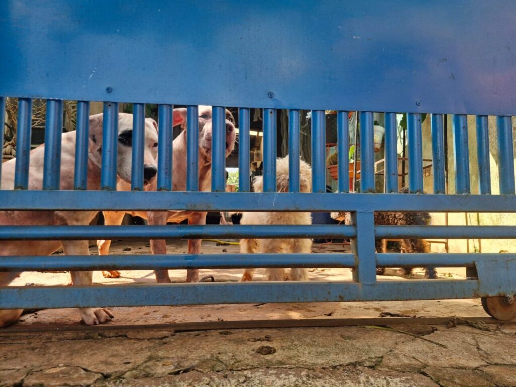 Imagem do WhatsApp de 2025-03-31 à(s) 14.49.07_7bf2221e