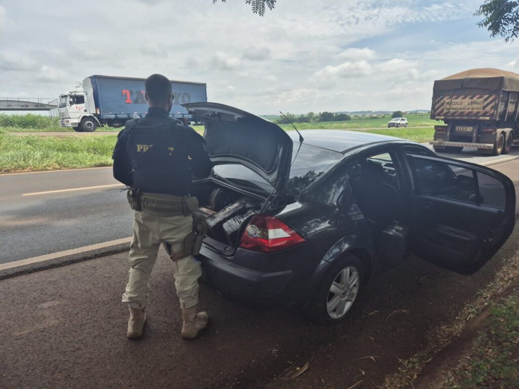 WhatsApp Image 2025-03-12 at 15.16.28