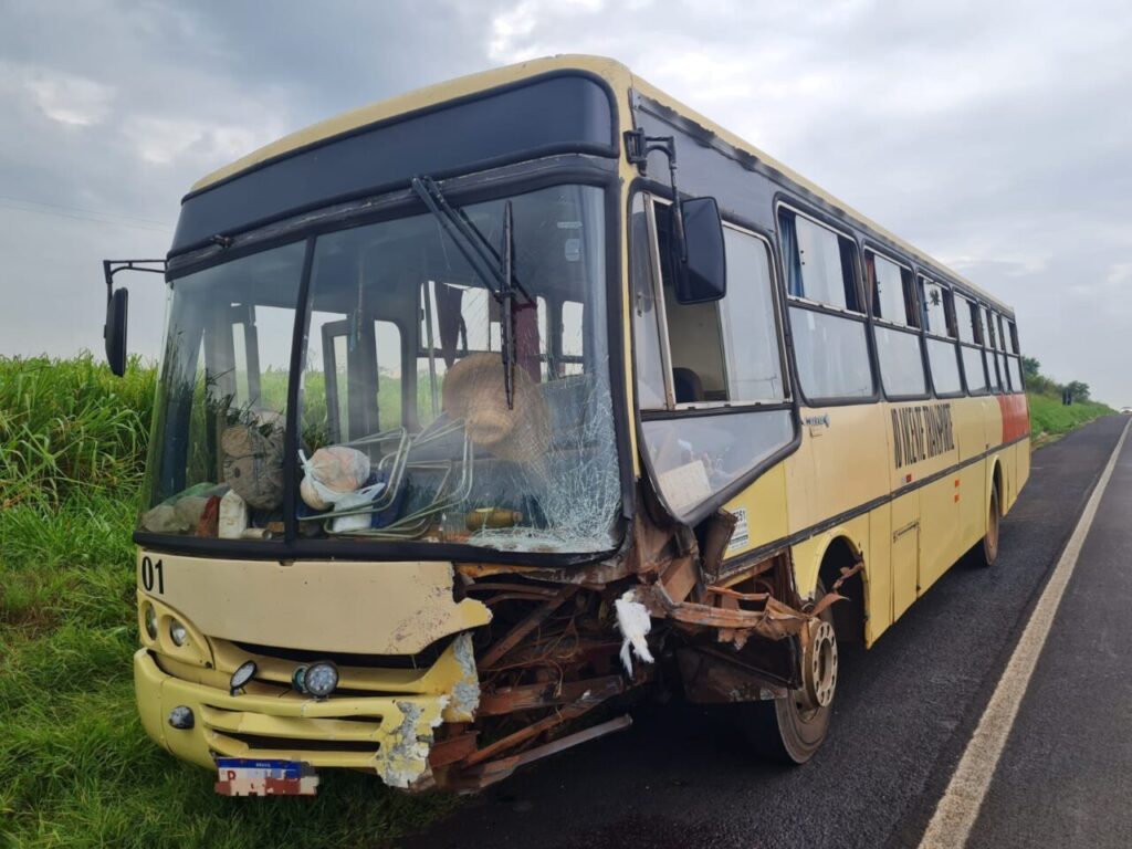 WhatsApp Image 2025-03-12 at 15.29.09 (1)